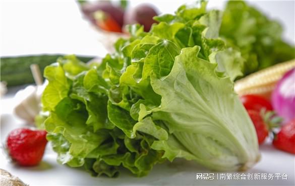 生菜怎么种？生菜种植的时间和方法是什么？(图2)