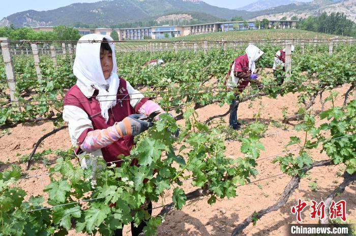 中欧体育官网种植牙是什么意思