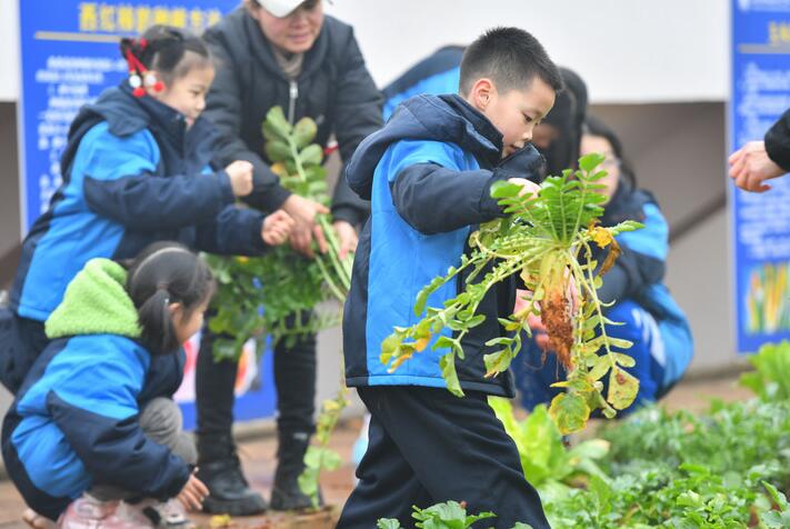 中欧体育网址孩子们上劳动课了——聚焦中小学新版劳动课几个关注点(图4)