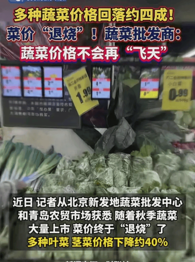 秋季蔬菜大量上市供应充足你那里的蔬菜价格降了吗？(图2)