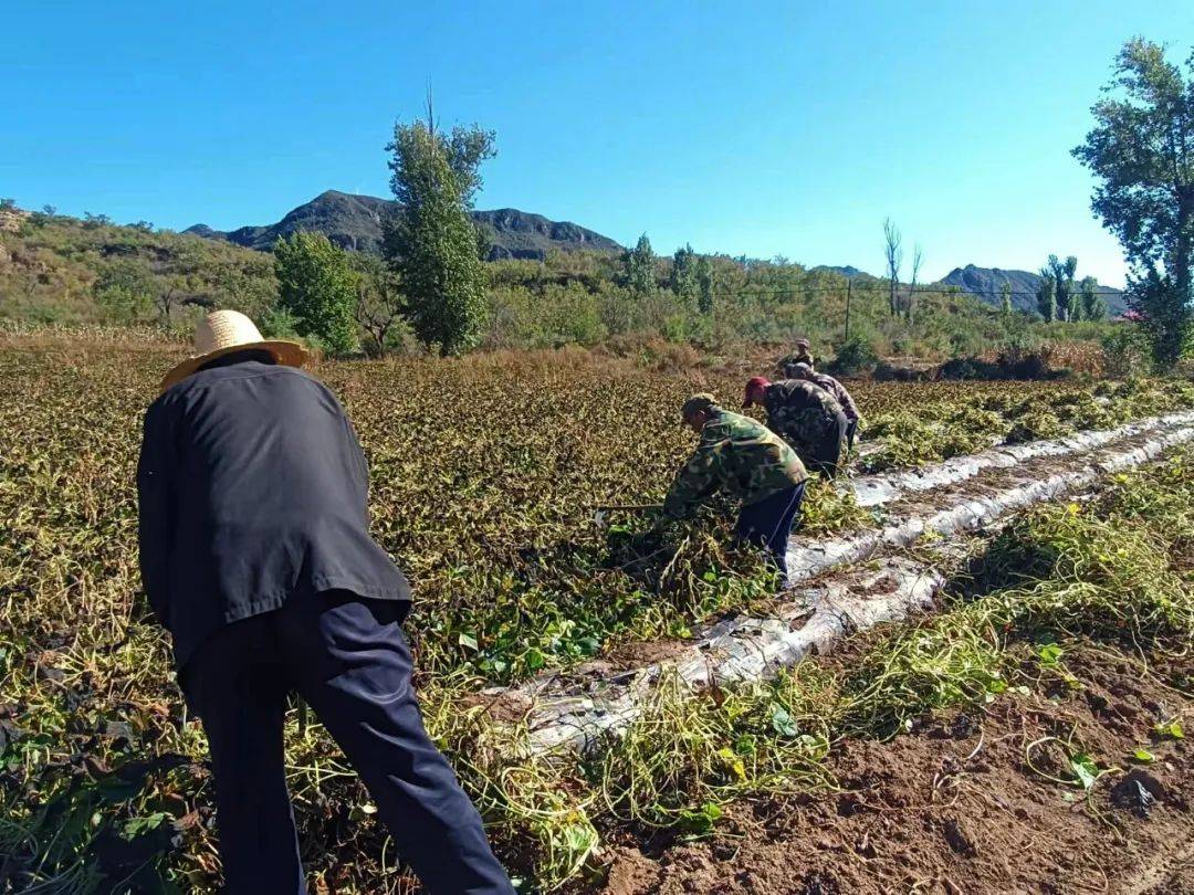 中欧体育注册这篇文章有点“甜”(图4)