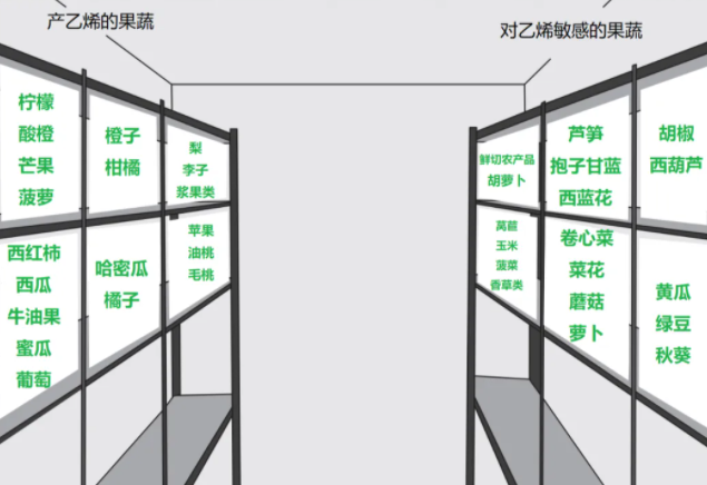 中欧体育下载哪些果蔬适合放冰箱？怎样存放更健康？一文了解→(图3)