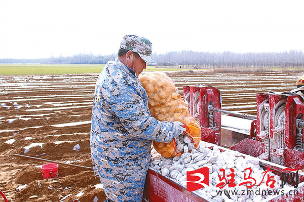 轮作种植 提高土地利用率(图2)