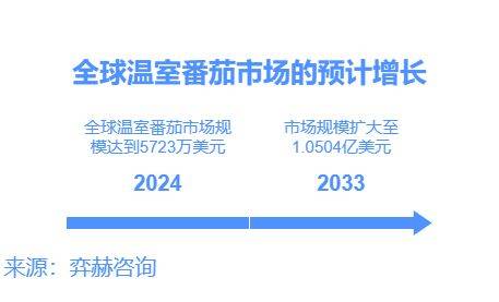 全面分析2025温室中欧体育网址番茄市场(图1)